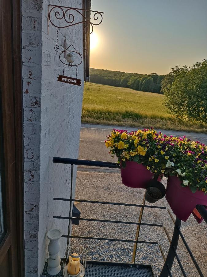 Gite Ferme D'Hurtaux Froidchapelle Luaran gambar